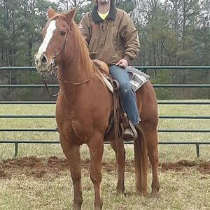 Meet your Posher, Joey